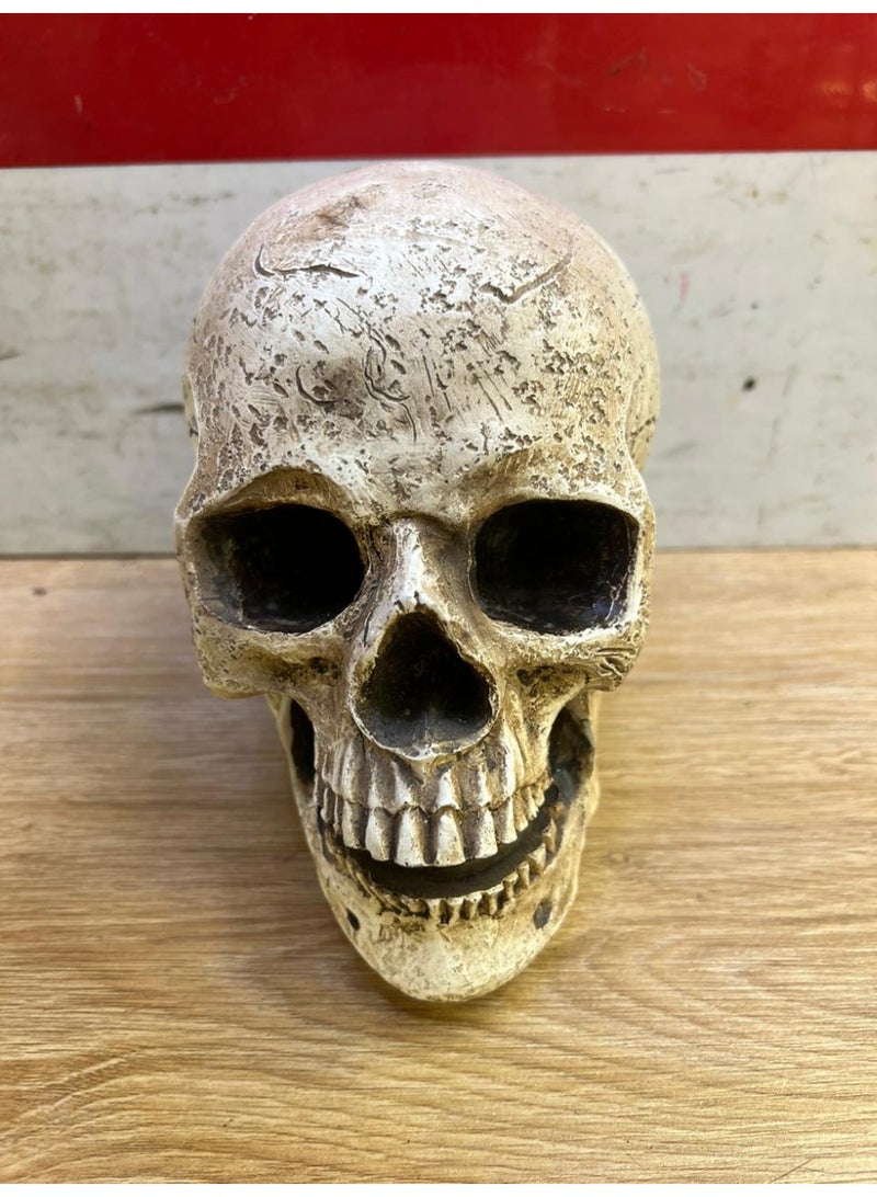 Decorative Skull Figurine – Resin Home Décor Statue - Image 2